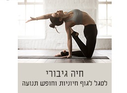 חיה גיבורי
